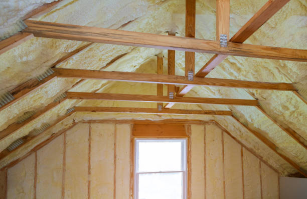 Best Insulation Maintenance and Repair in Hayden, CO