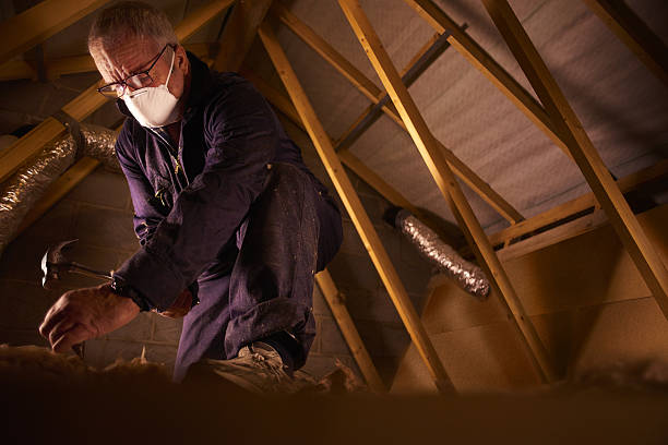 Best Insulation Installation Services in Hayden, CO